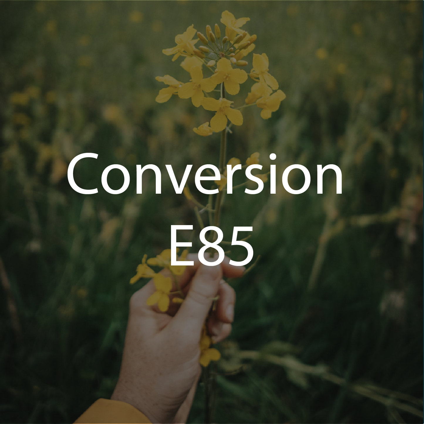 Conversion E85 (éthanol)